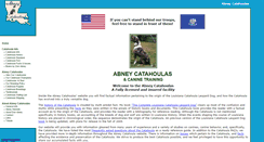 Desktop Screenshot of abneycatahoulas.com